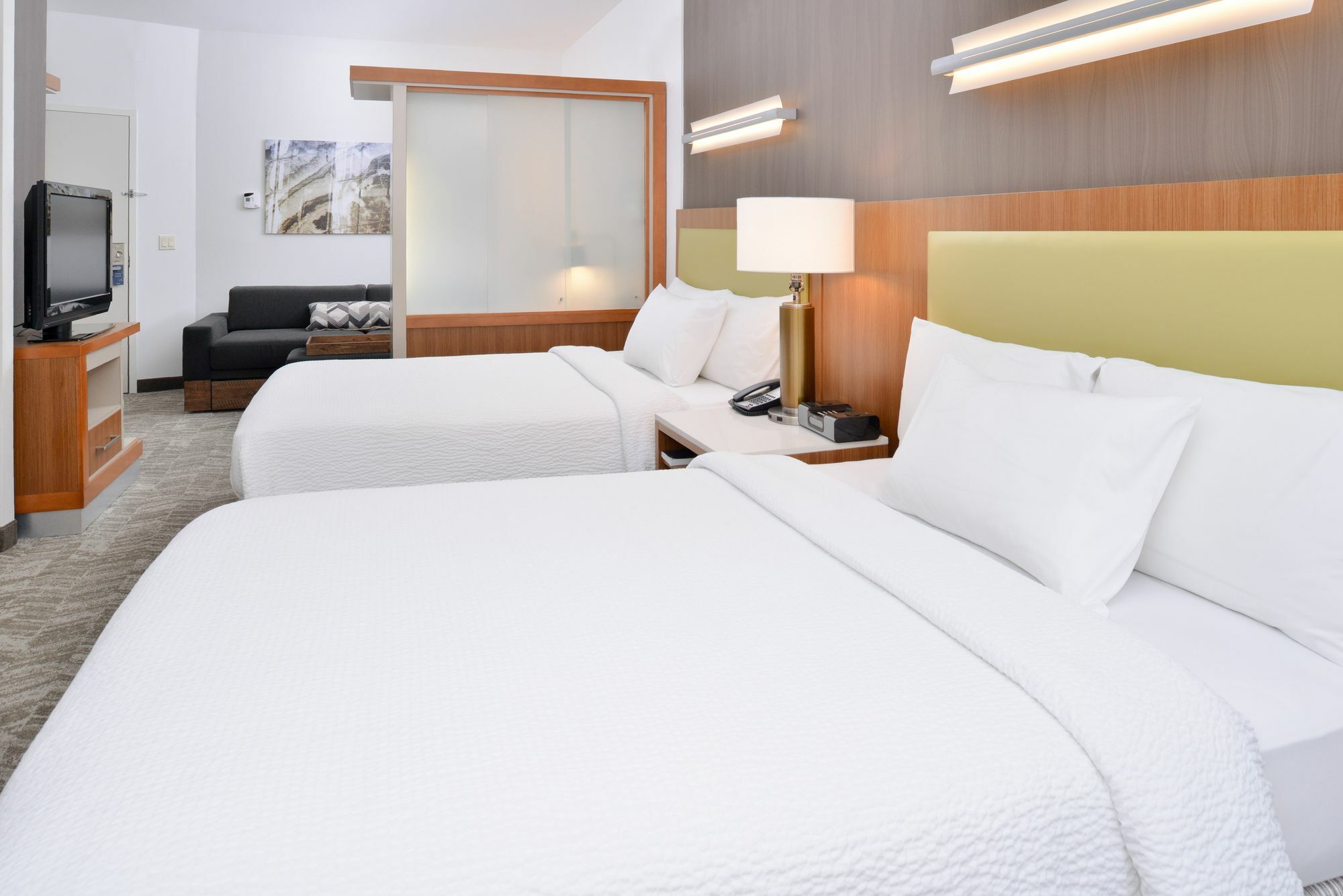 Springhill Suites Ashburn Dulles North Eksteriør bilde